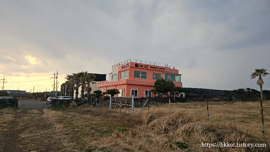 제주도 카페물썹