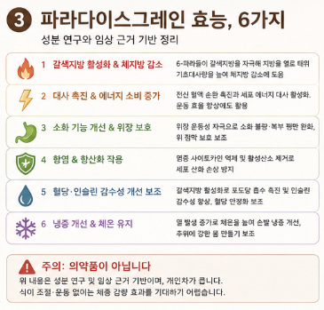 파라다이스그레인-효능-내돈내산-후기-먹는법-가격