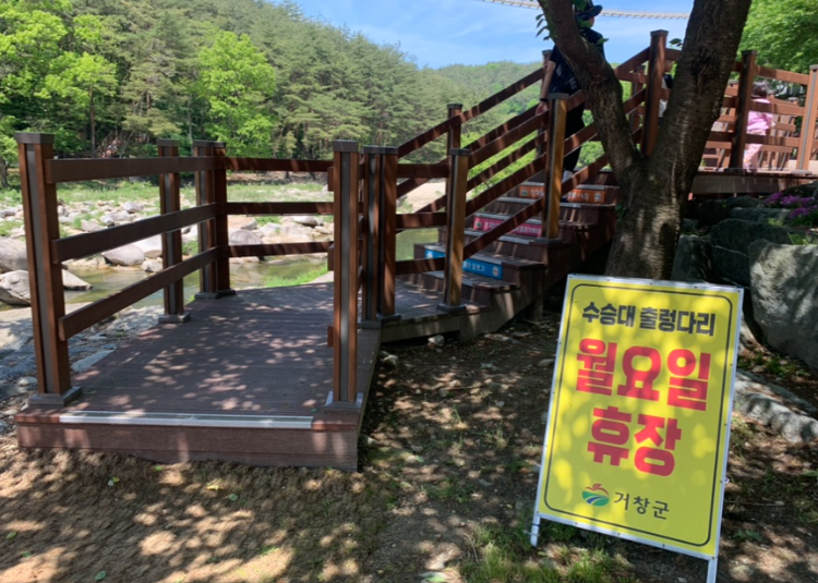 거창 수승대 출렁다리