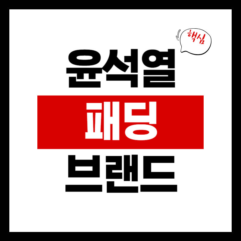 윤석열 패딩 브랜드 어디? 구매하기, 가격