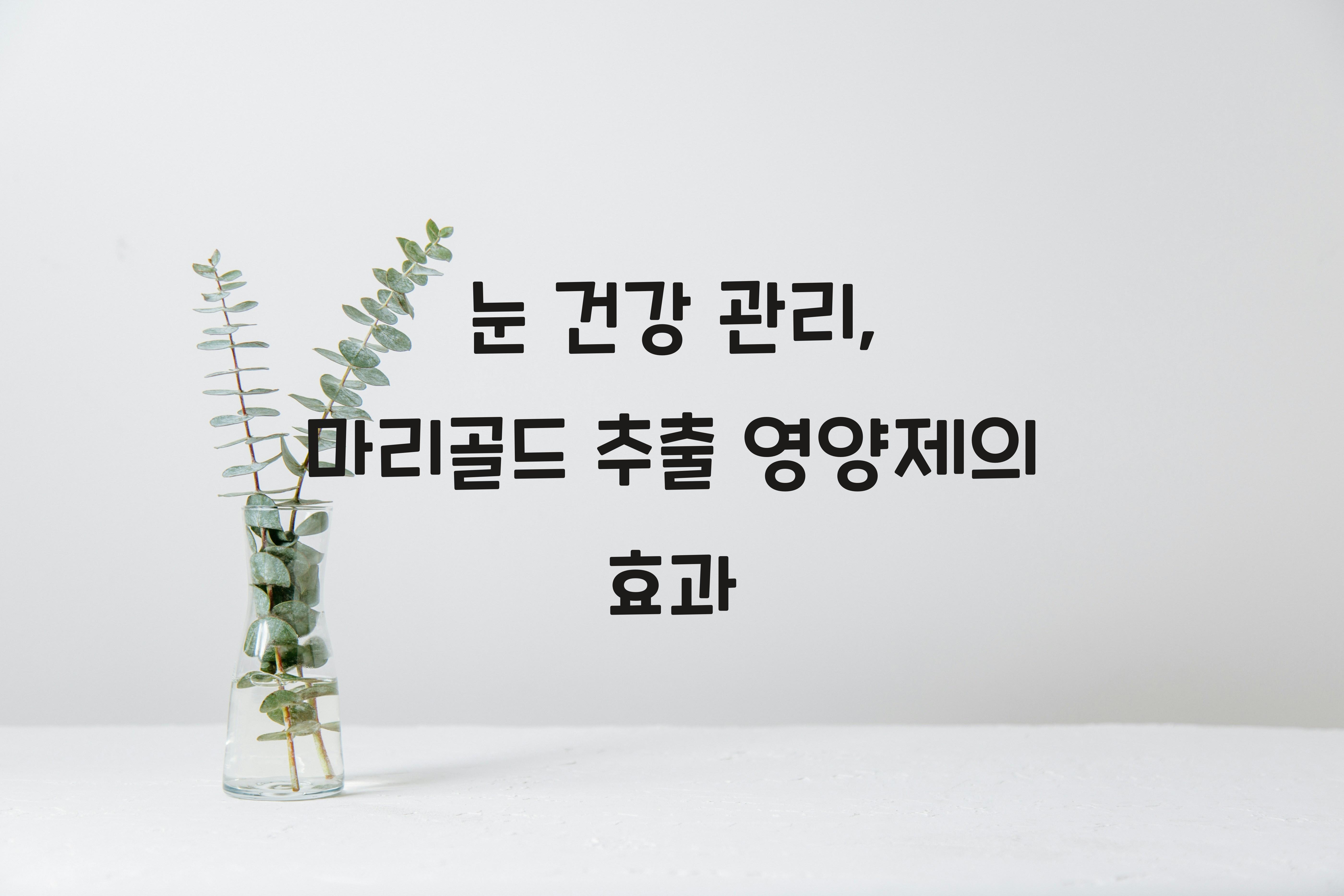 눈건강보호마리골드추출영양제