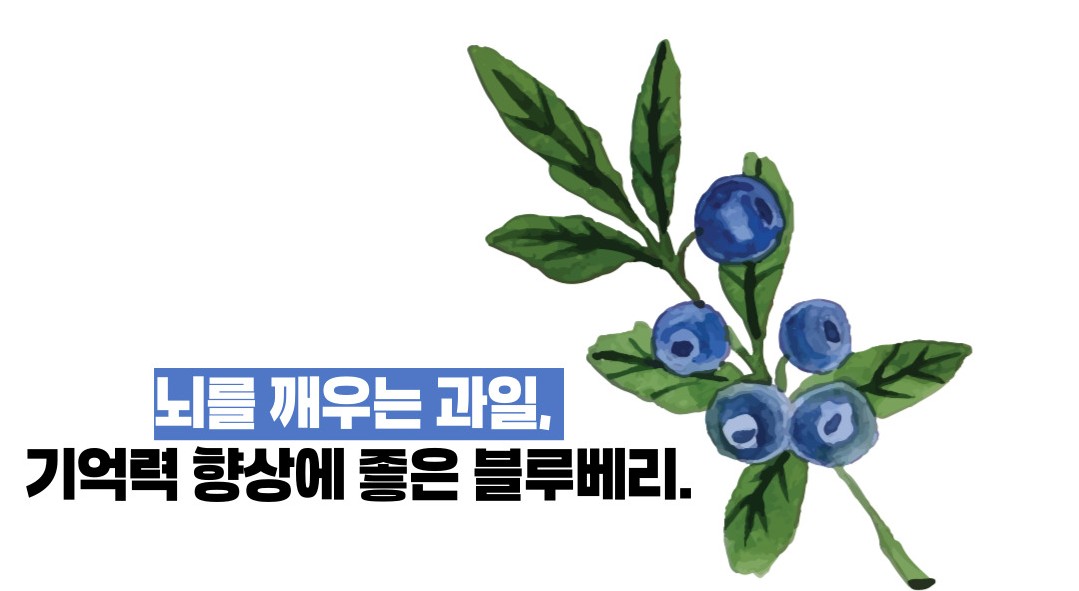 블루베리 효능 부작용