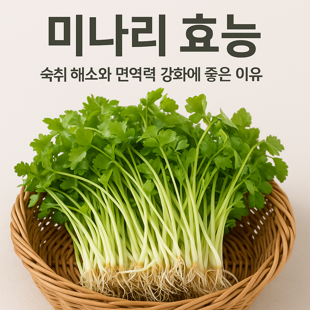 미나리 효능