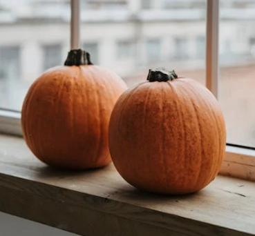 폐에 좋은 음식 10가지