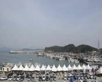 서천 홍원항 자연산 전어 꽃게 축제_4