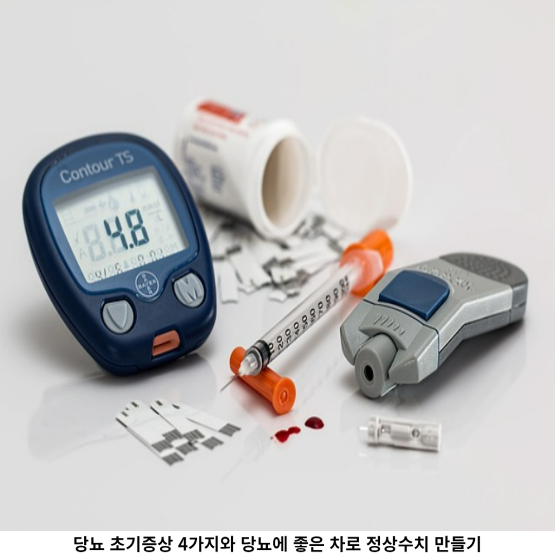 당뇨 초기증상 4가지