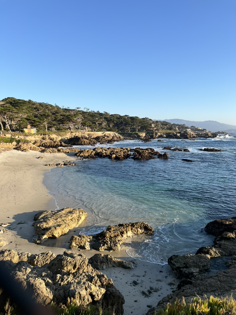 Cypress Point Lookout