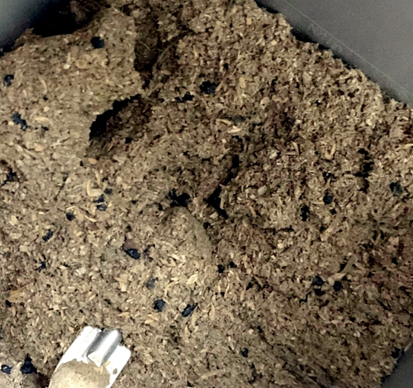 린클 음식물 처리 사진 모습