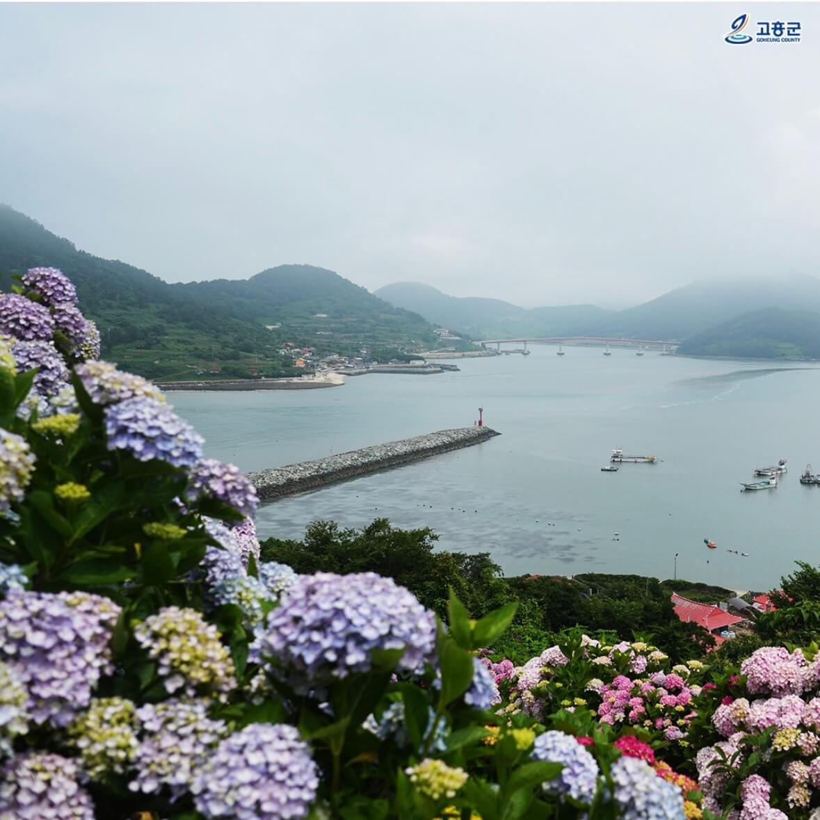 쑥섬 수국축제