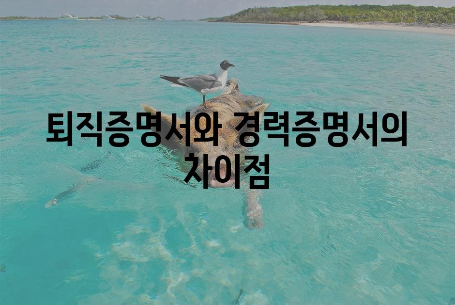 샘플 (1)