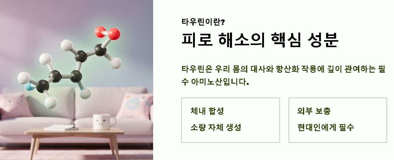 타우린 하루 권장량