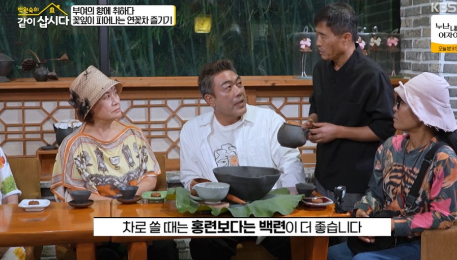 박원순의-같이삽시다-부여-연꽃차
