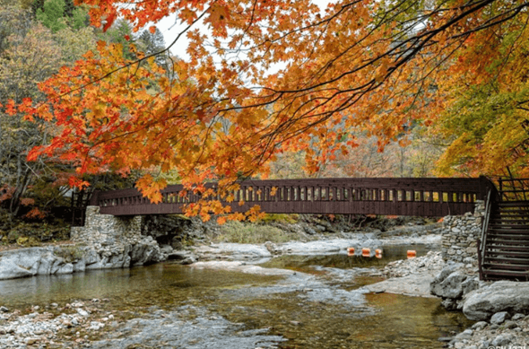 단풍여행 당일 단풍버스여행