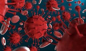 코로나19격리지원금