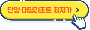 단양 대명리조트 최저가