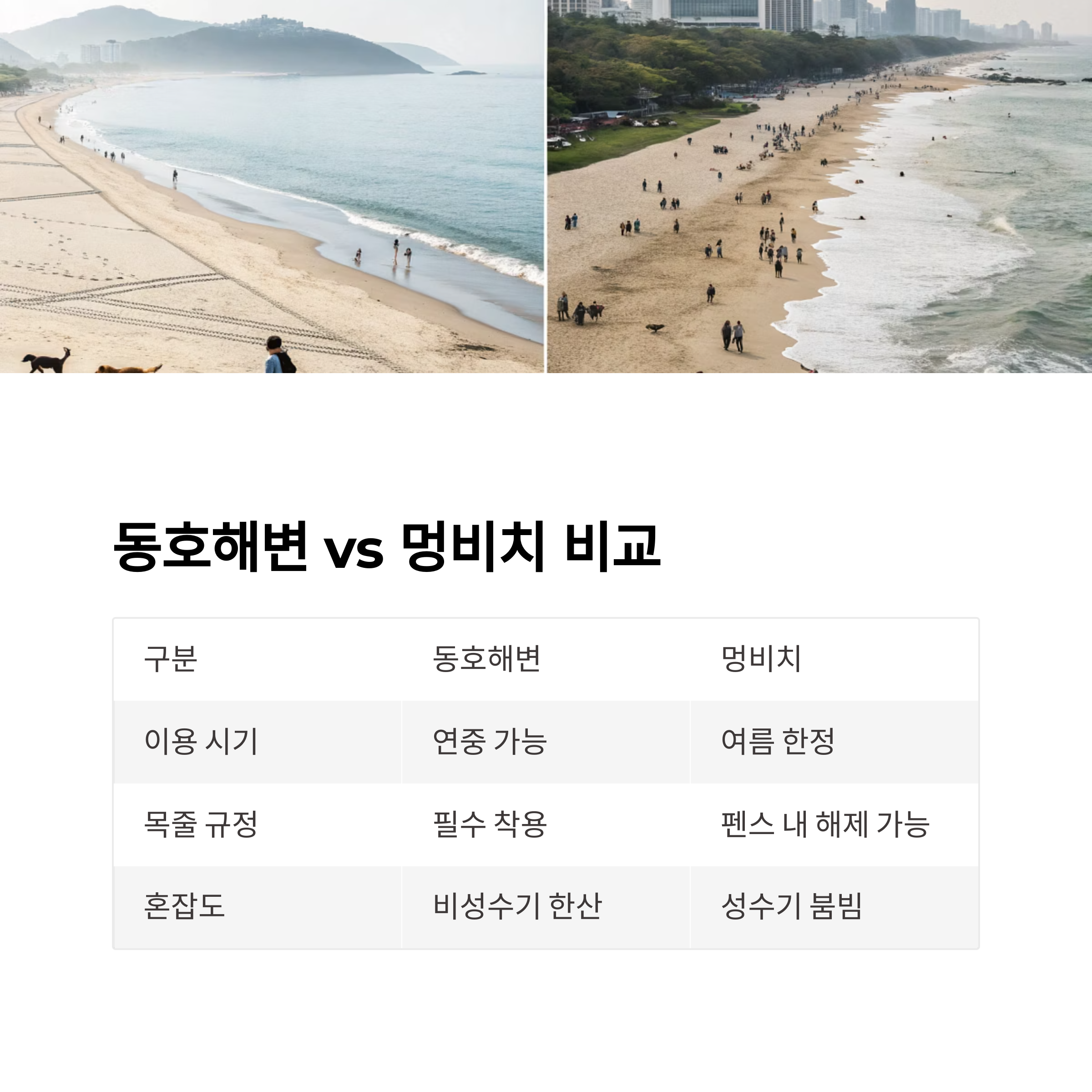 양양 동호해수욕장, 반려견