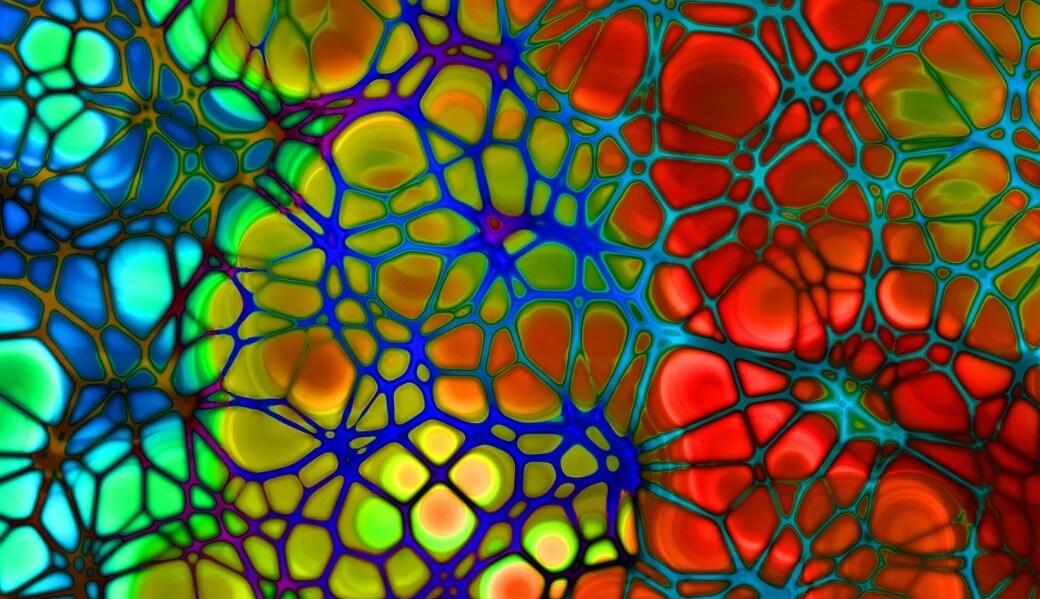 혈관들이 얽혀 있는 모습