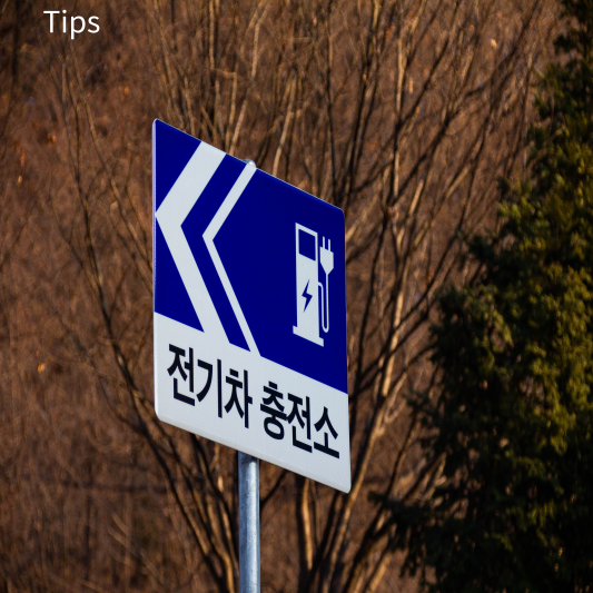 전기차 보조금