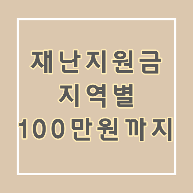 6차 재난지원금 a