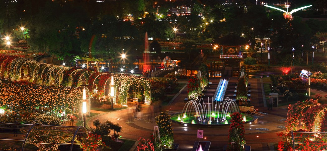 곡성장미축제 야간개장