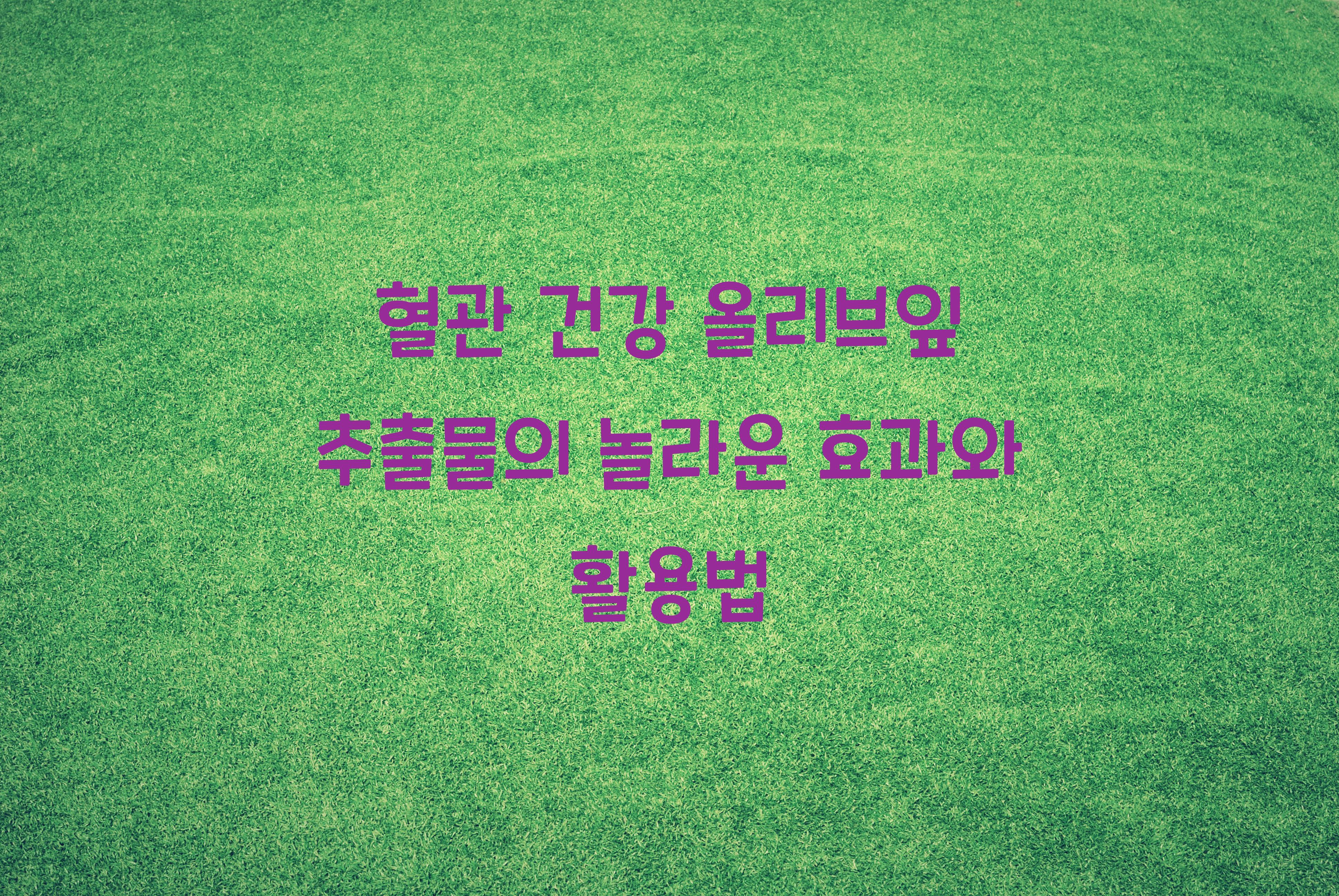 혈관 건강 올리브잎 추출물
