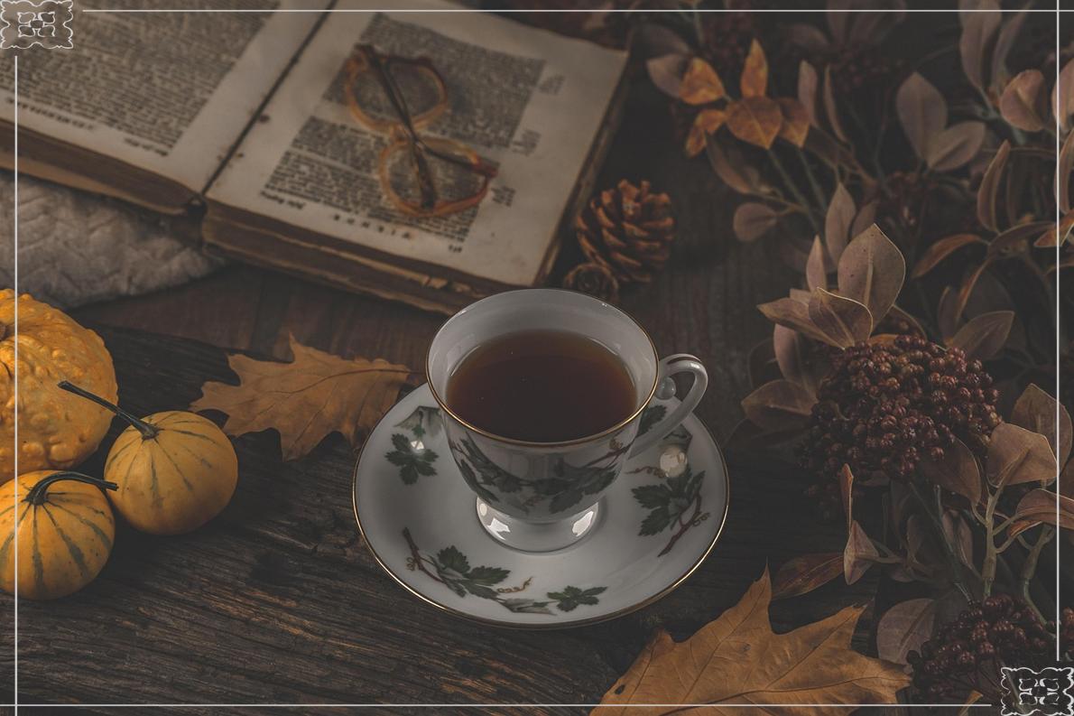 독서와 커피한잔