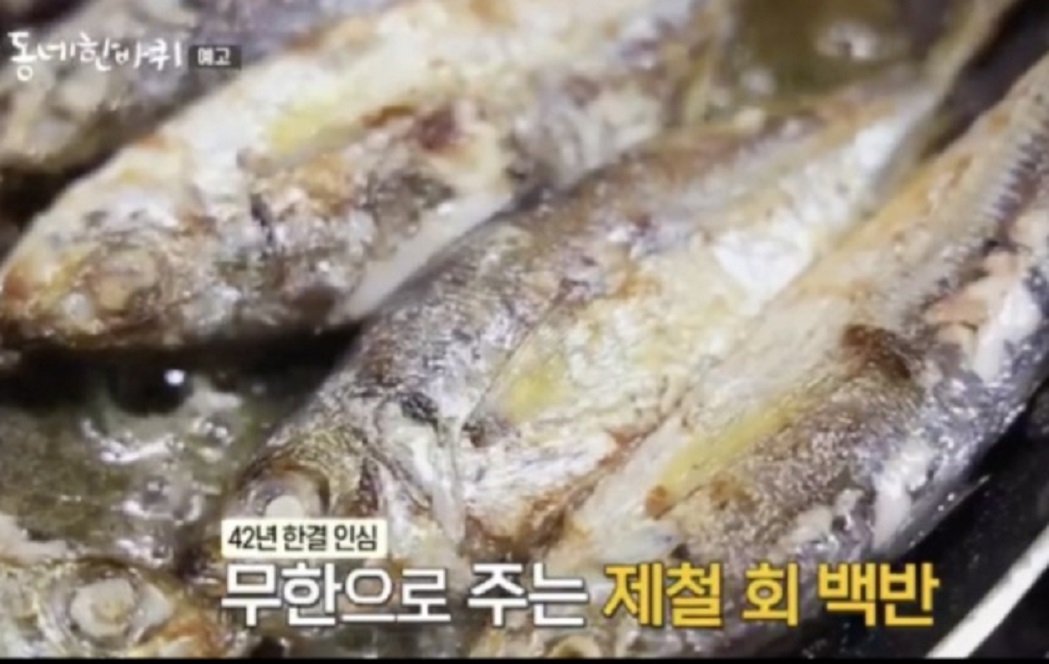 한국기행-고성-희순할매-회백반