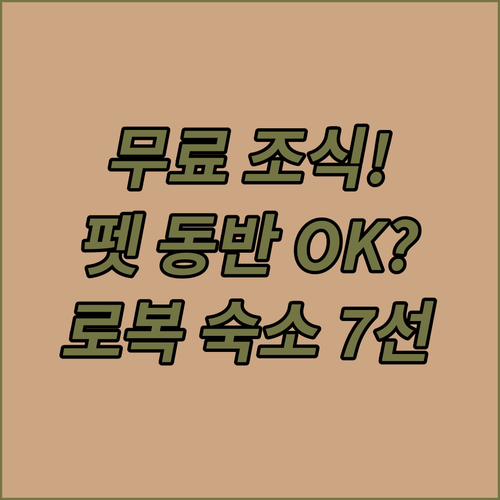 로복 여행 추천 숙소 7선 무료 조식..