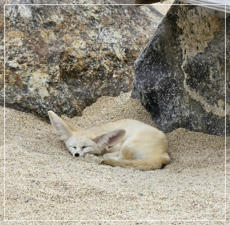 광주 가볼만한곳 베스트10 우치공원