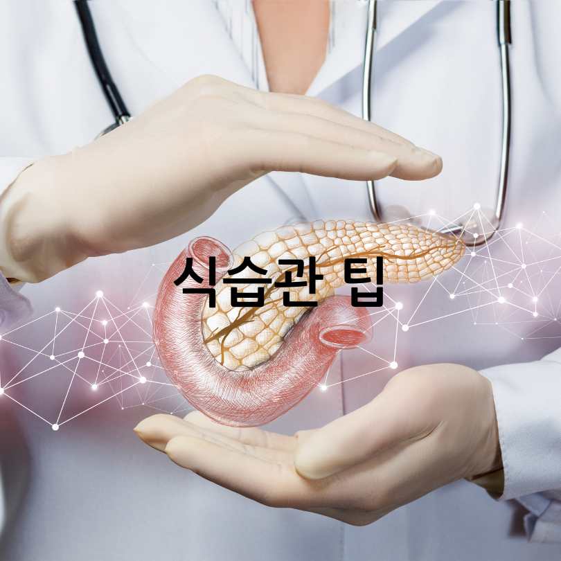 췌장에 좋은 음식