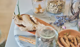 생강 효능 효과 생각 효능의부작용