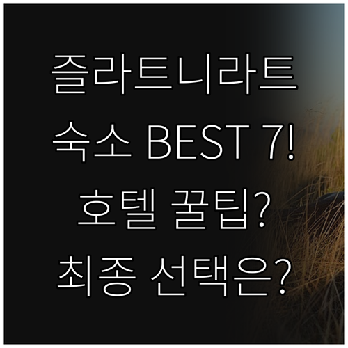 크로아티아 볼 숙소 7곳 완벽 비교 ..