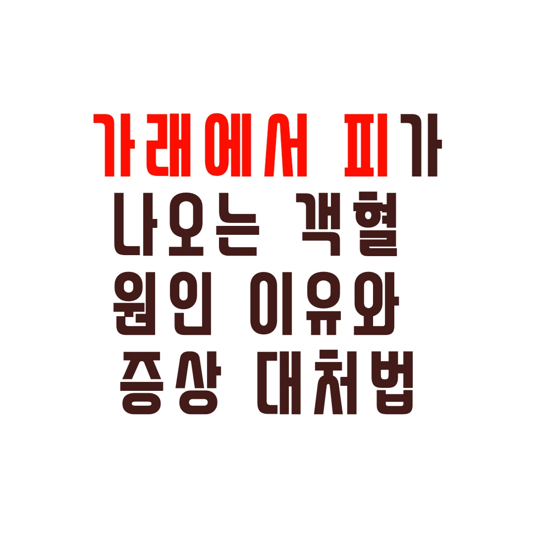 객혈원인이유대처법