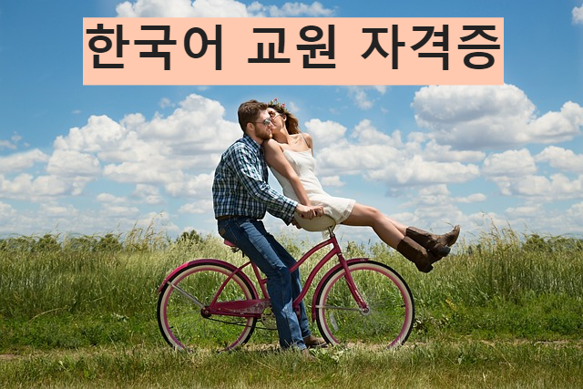 한국어 교원 자격증