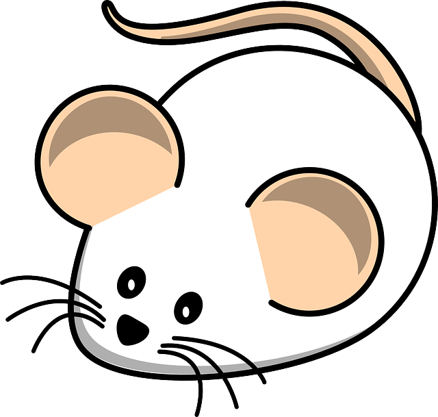 오늘의 운세 &amp;#44; 띠별 운세&amp;#44; 평생 운세&amp;#44; 토정비결