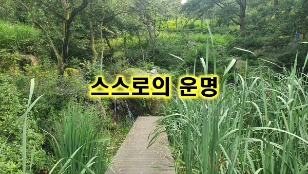 스스로의 운명