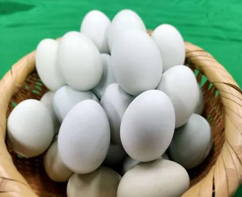 석산약바람산촌생태마을