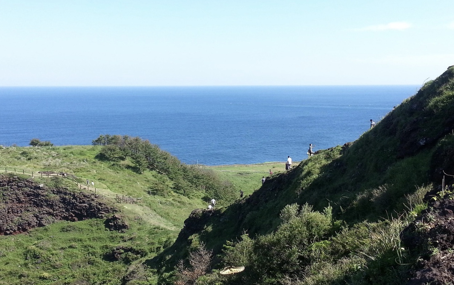 제주도 차박 명소 관련 사진
