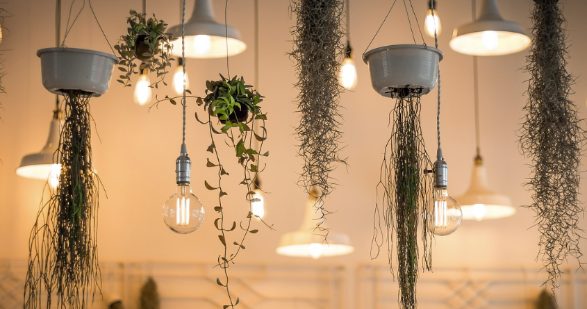 행잉플랜트 거는법: 쉽고 안전하게 집안을 꾸미는 팁