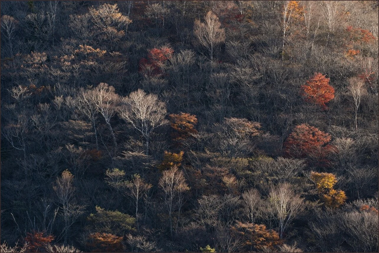 등기부등본 발급 어디서