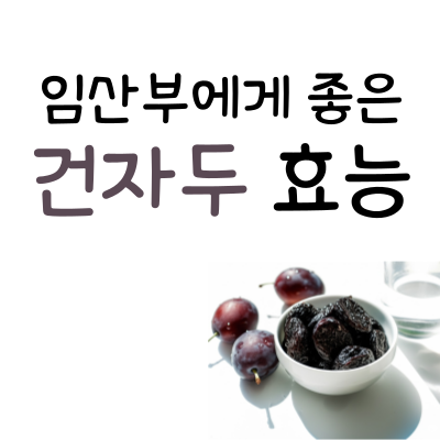 건자두 효능, 임산부에게 좋은 이유와 주의사항
