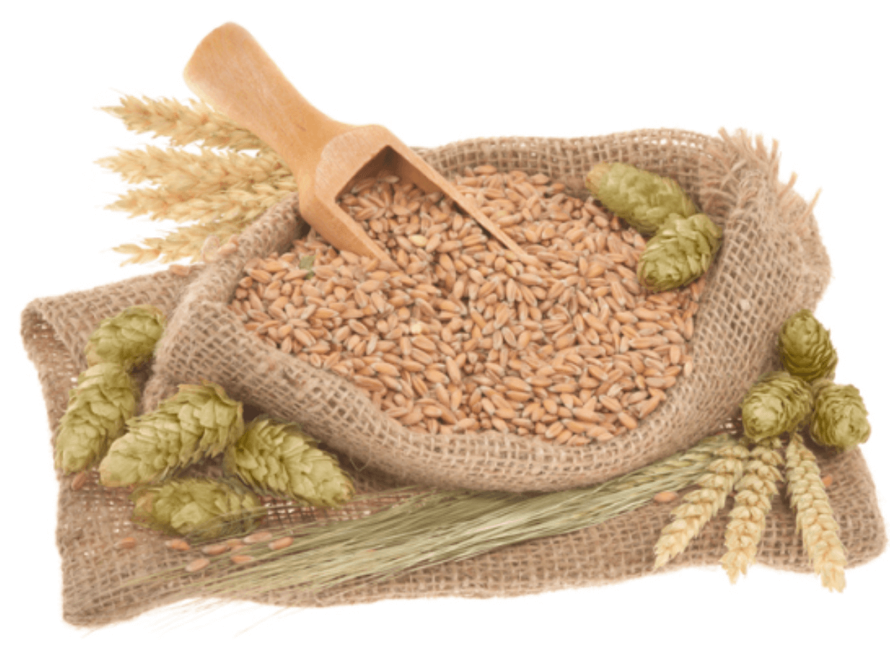 맥주효모의 부작용