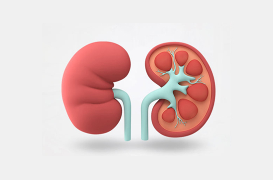 왼쪽 옆구리 통증 찌릿 찌르는 불편감 췌장 위암 암 가스 