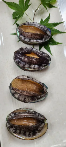 생생정보 대결 맛 대맛 코다리해물찜 vs 해물소갈비전골 음식점