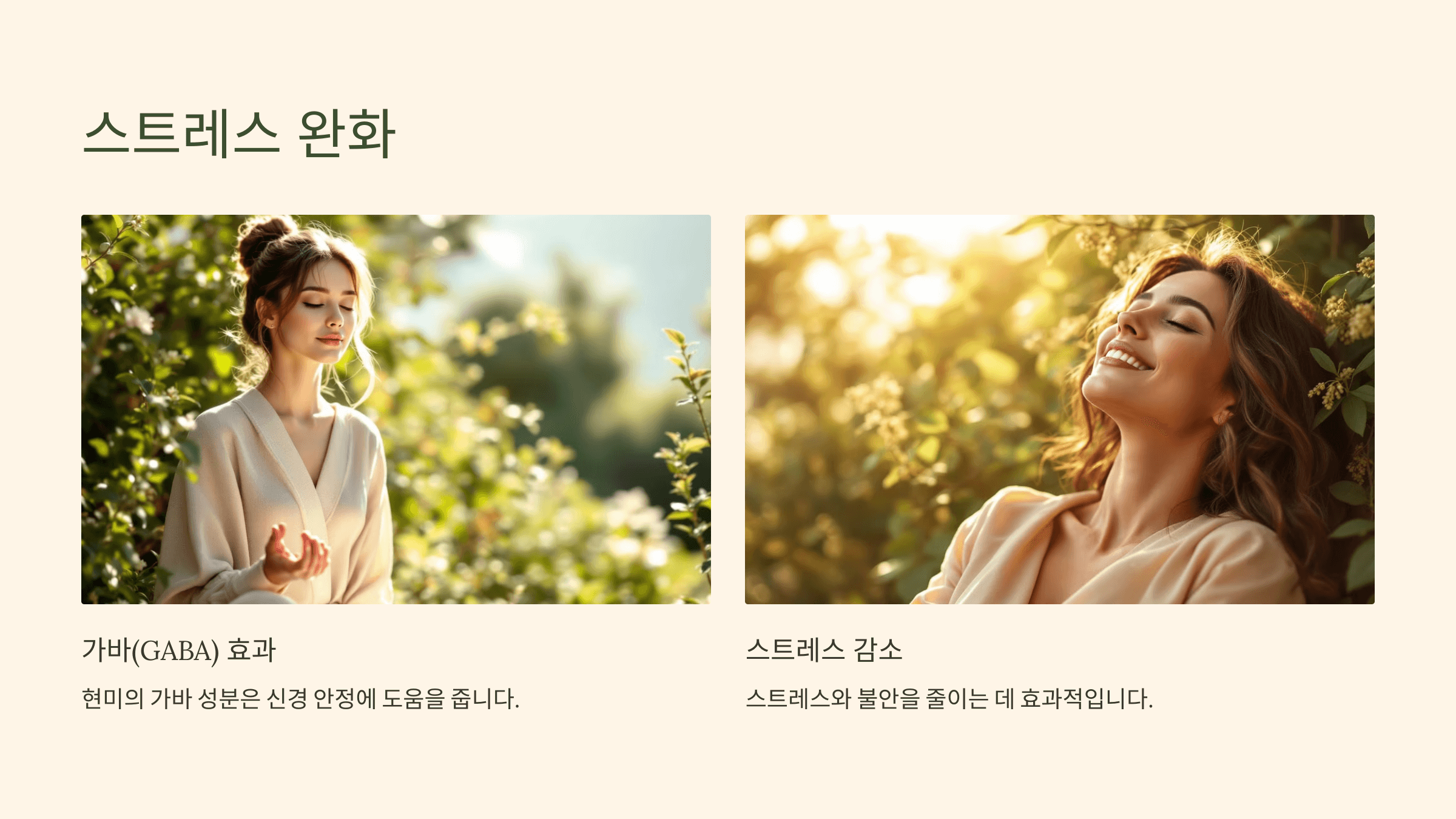 현미 사진입니다.