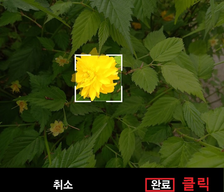 완료버튼 클릭함