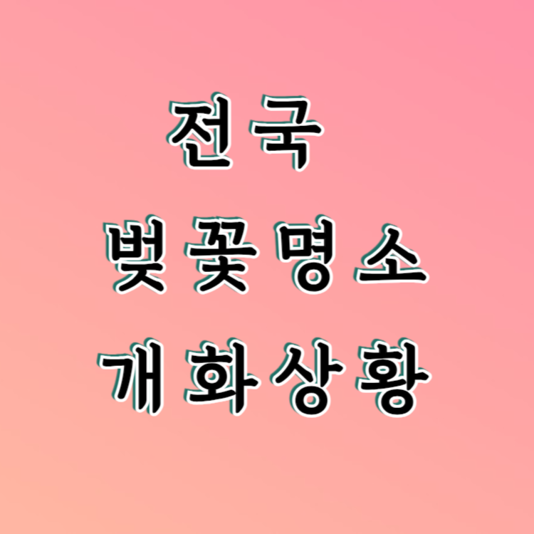 전국 벚꽃명소 개화상황