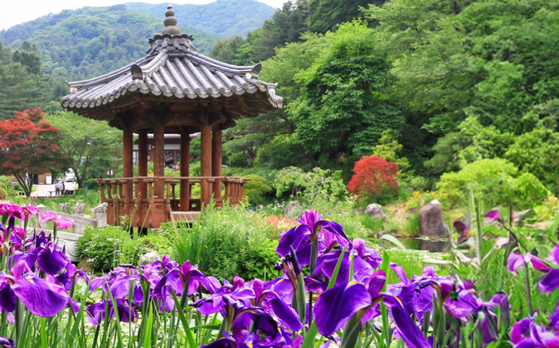 가평 놀거리 명소 액티비티 먹거리