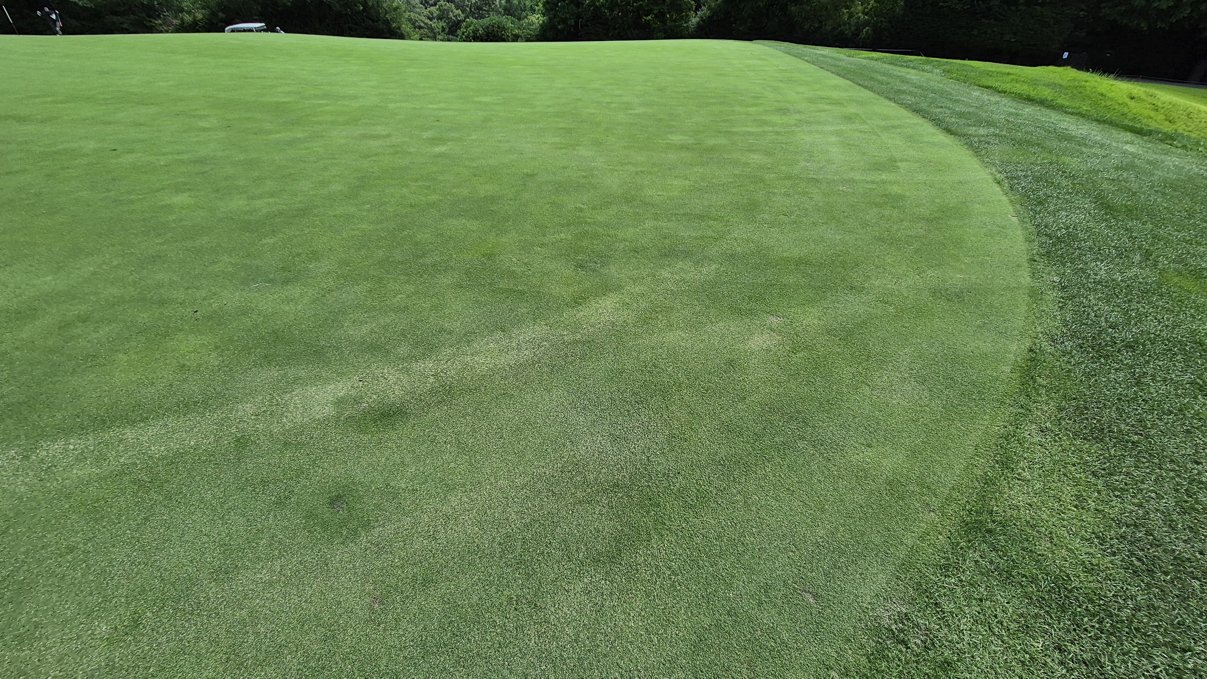 SG 아름다운cc 라운드 후기