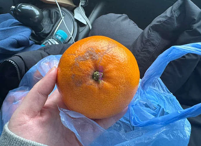 따요딸기감귤농장